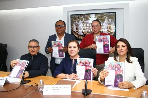 Comision Pueblos Comunidades Indigenas Y Afromexicanas