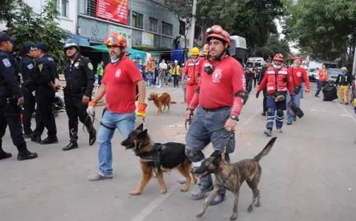 Rescatan a falsos topos en derrumbe de Chimalpopoca