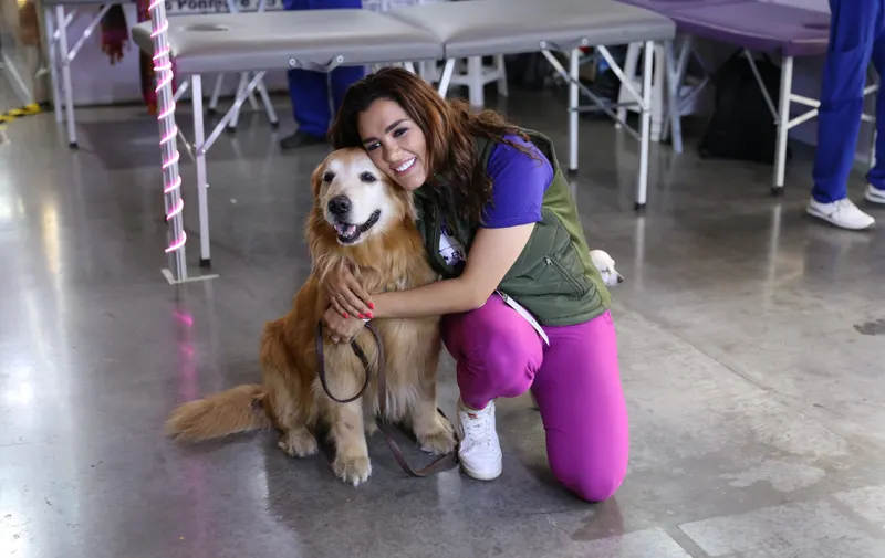 Gobiernos federal y estatal impulsarán campaña de protección de animales