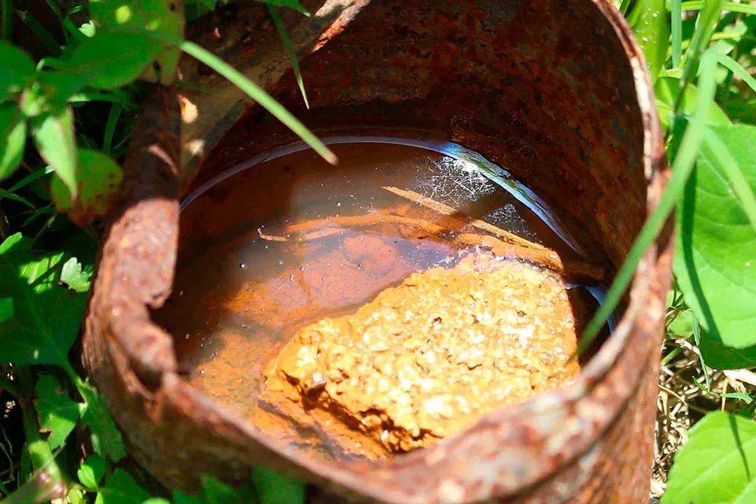 Dengue Acumulacion De Agua