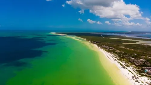 Holbox pierde 53 hectáreas de áreas protegidas por triunfo legal de empresa