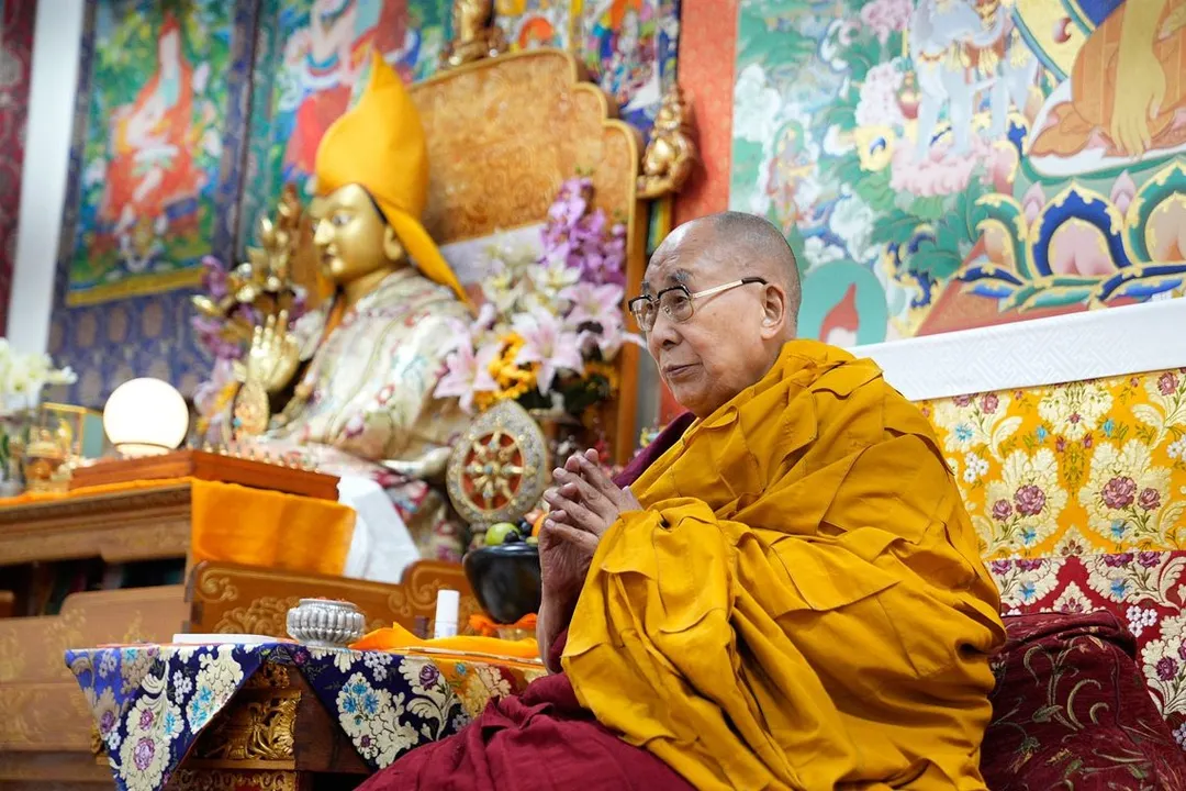 Foto: eldalailama.com