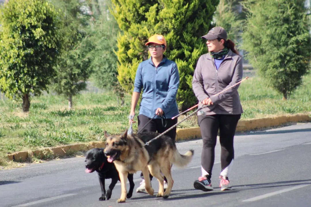 Garantiza SMT espacios públicos seguros a través de Vía Recreativa Metropolitana