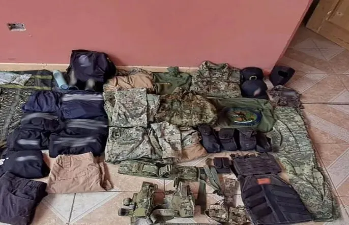 Imagen del artículo