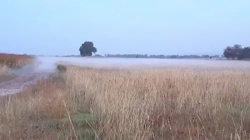 Controlada fuga de gas LP que provocaron chupaductos en Tepeaca; Segob 