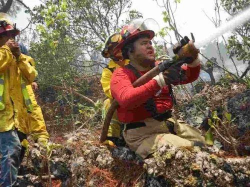 Se reportan 21 incendios forestales en 7 entidades del país