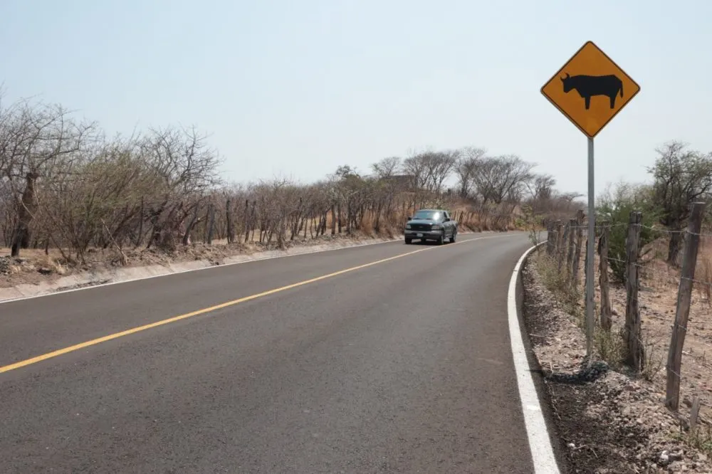 Rehabilitó gobierno de Puebla 23.5 kilómetros de la carretera Chiautla de Tapia-Ixcamilpa