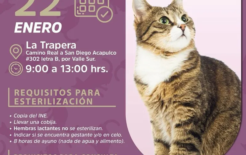 atlixco-jornada-servicios-veterinarios-gratuitos