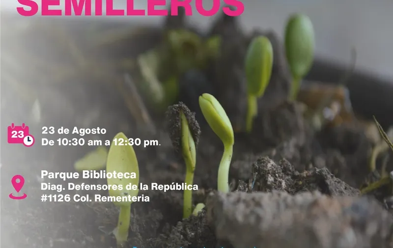 Imagen del artículo