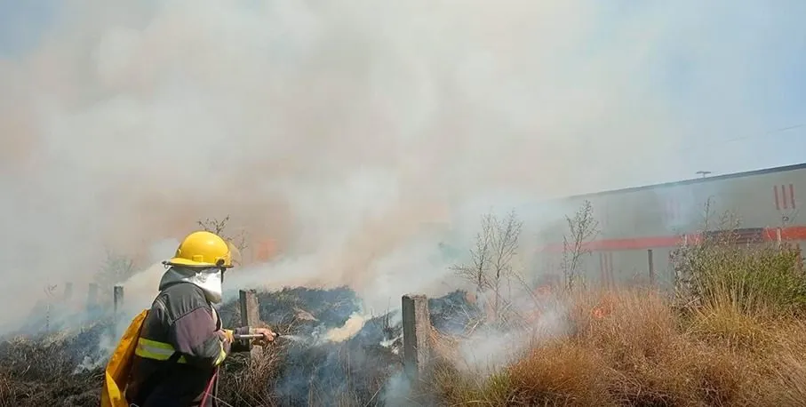 Incendios forestales