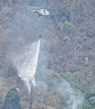 Diputado propone en Morelos elevar penas por incendios forestales