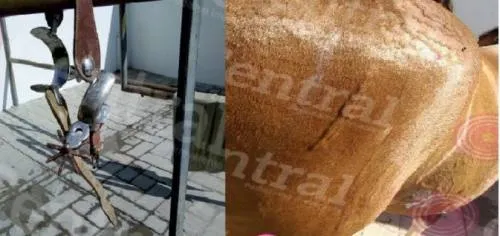 Denuncian maltrato animal en CMERI de Agua Santa