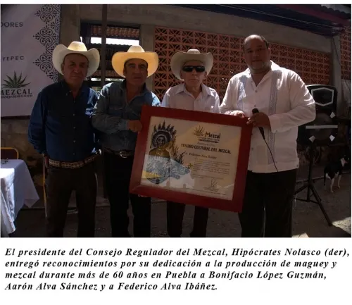 Certifican producción de mezcal en Puebla 