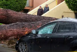 Dos muertos, saldo de paso de tormenta en California