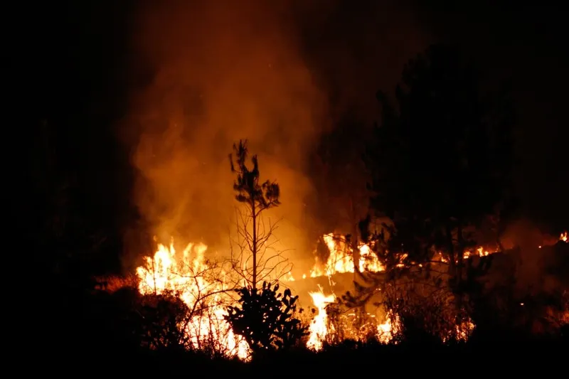 sp-cholula-incendio