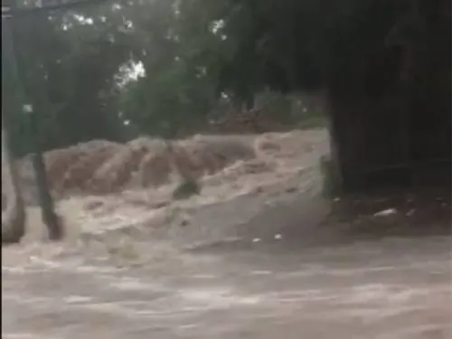 Xochimilco registra estragos por intensa lluvia