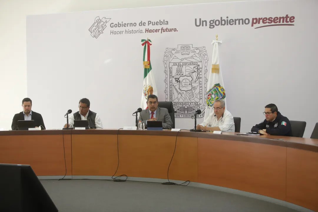 seguridad pública