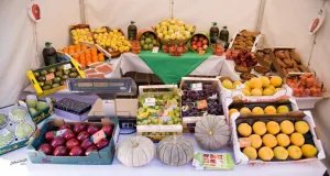 Feria Alimentaria dejará ventas por mil millones de dólares