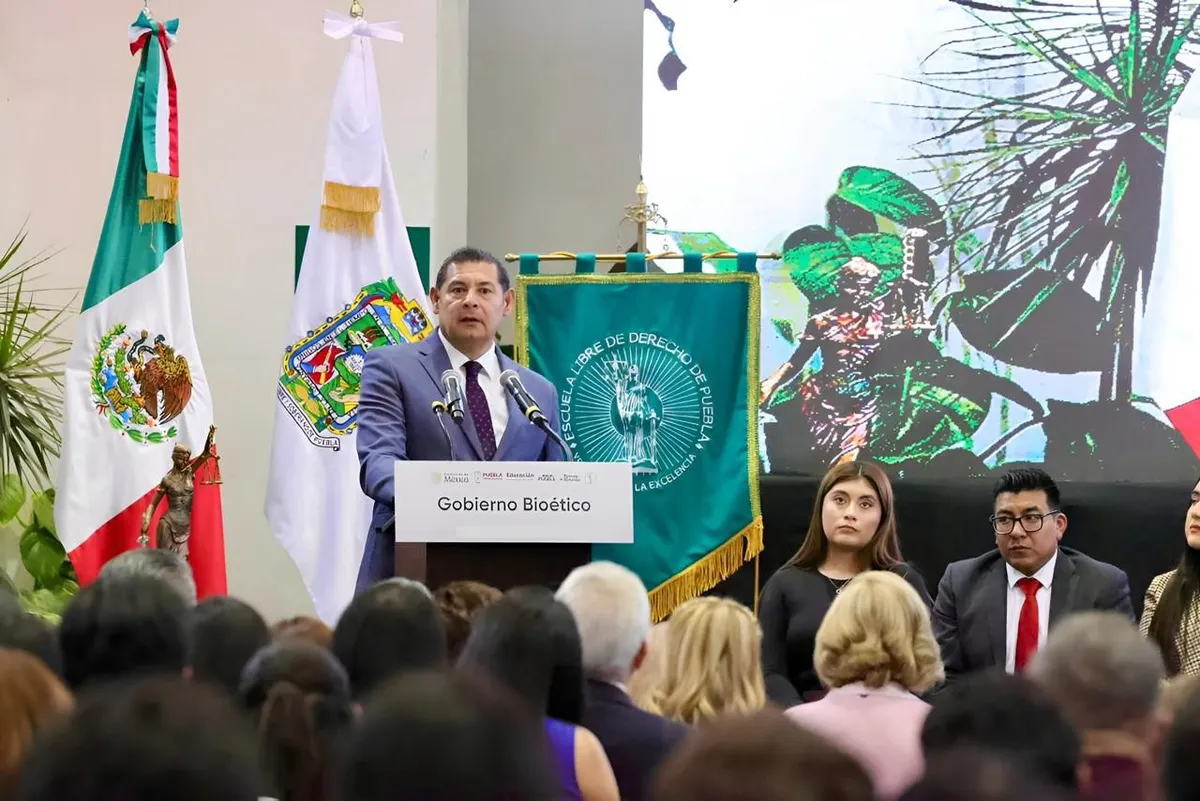 Imagen del artículo