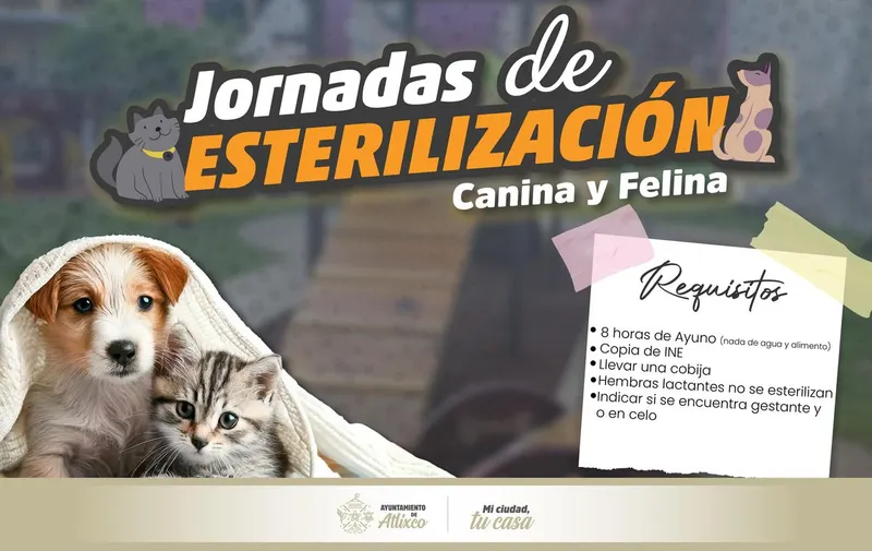 atlixco-jornada-esterilizacion-mascotas