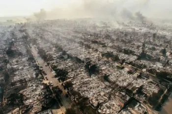 Aumenta a siete, la cifra de muertos por incendios devastadores en Los Ángeles, California