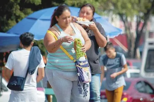 Científicos de Harvard calculan riesgo genético de padecer obesidad