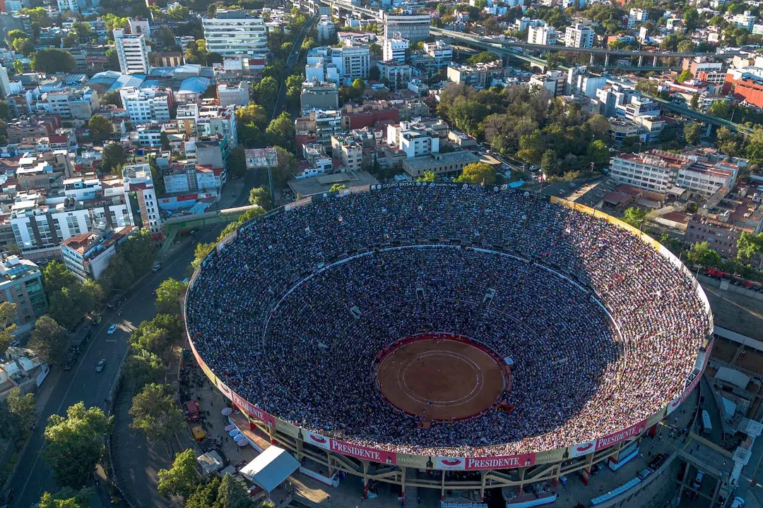 Audiencia para la suspensión definitiva de corridas de toros en la CDMX ha sido aplazada