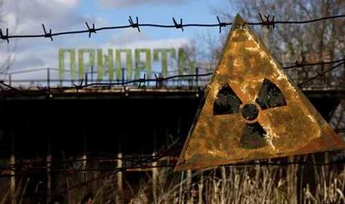 Descubren que la fauna vuelve a poblar zonas de Chernobyl