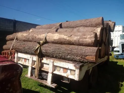 PROFEPA aseguró siete vehículos que transportaban madera en rollo en Ahuazotepec