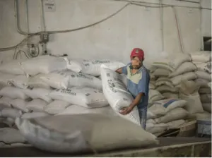 Secretaría de Economía fija precio del azúcar base estándar