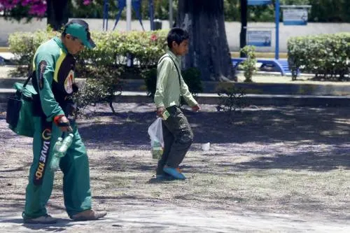 Mantiene STPS operativo especial contra explotación laboral infantil