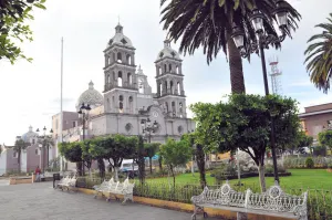 Encuentran a recién nacido muerto en basura de Teziutlán