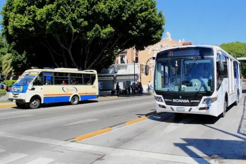 Gobierno define rutas alternas ante suspensión de la línea 3 de RUTA para el 5 de Mayo