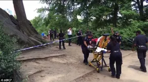 Explosión en Central Park de Nueva York deja un herido