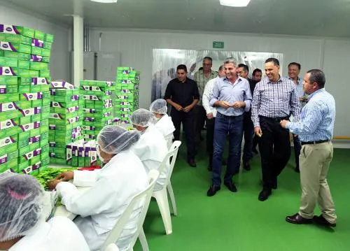 Llama Tony Gali a mantener visión para trabajar por México