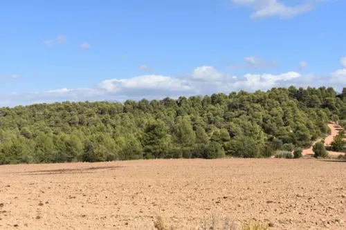 Campesinos del Ejido 14 Pueblos exigen al Tribunal Unitario Agrario les devuelva sus tierras