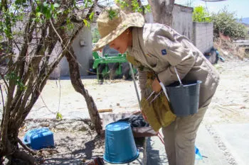 Puebla, sin contagios ni defunciones por dengue en las últimas 24 horas