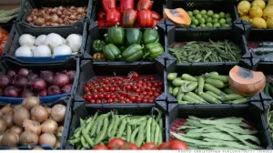 Científicos duplican estado óptimo de la comida