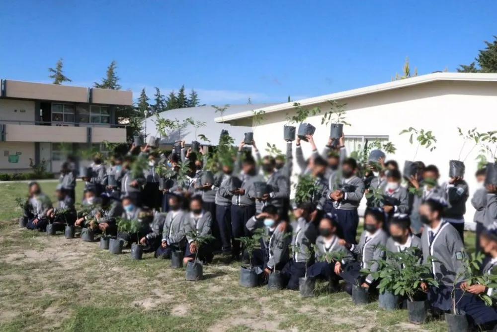 Realizan alumnos acciones de reforestación y aprovechamiento de recursos naturales: SEP