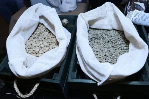 Alcanzan productoras y productores de café robusta venta histórica de 25 toneladas