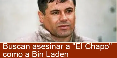 Buscan asesinar a El Chapo como a Bin Laden