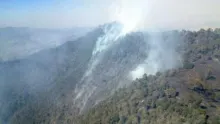 Controlado al 100 por ceinto incendio en Cuyuaco
