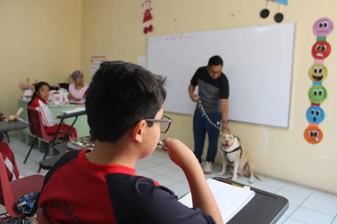 Niñas y niños de Atlixco reciben plática educativa y de concientización: "no al maltrato animal"