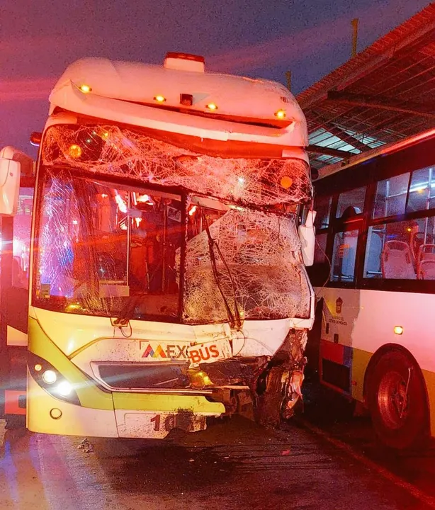 Mexibus