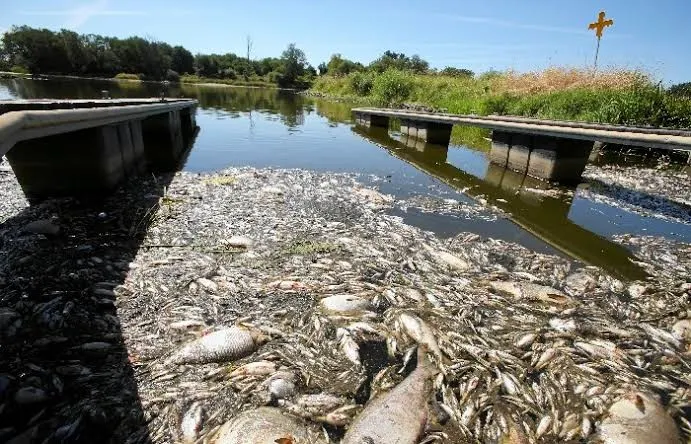 Río Alemania Polonia