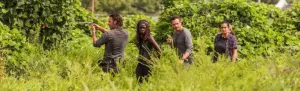 Lo nuevo de “The Walking Dead” llega este domingo a FOX Premium