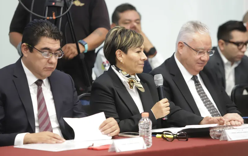Restaura gobierno estatal 6 mil 242 hectáreas con plan de reforestación