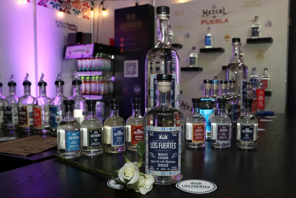 Por vinculación de la SDR, mezcal poblano llegará a Colombia