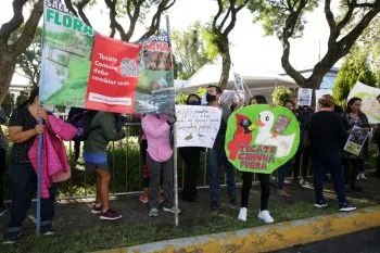No le compete a Medio Ambiente cancelar Tecate Comuna: Manrique