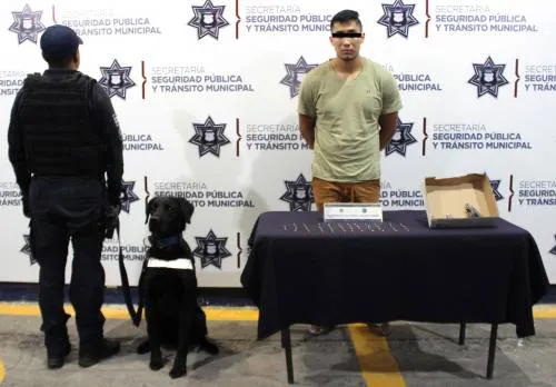 Unidad Canina de la SSPTM detuvo a persona por portación ilegal de arma de fuego